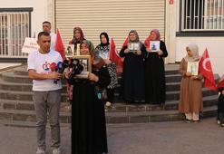 Diyarbakır'da evlat nöbetindeki aile sayısı 385 oldu