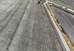 Hatay'da pamuk hasadı başladı