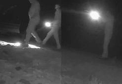 Ormanda bozayı vuran kaçak avcılara toplam 170 bin TL ceza