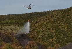 Bursa'da orman yangını; 14 saatte söndürüldü