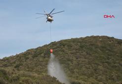 Bursa'da orman yangını; 14 saatte söndürüldü