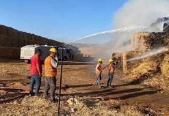 Mardin’de 'mısır balyası' yangınına müdahale sürüyor