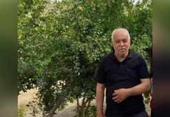 Ceviz toplamak için çıktığı ağaçtan düşen muhtar öldü