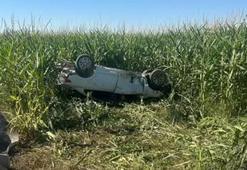 Şanlıurfa'da otomobil, tarlaya devrildi; 1 ölü, 1 yaralı