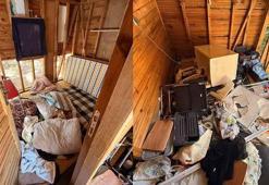 Uludağ'da barakaya giren ayı eşyaları parçaladı
