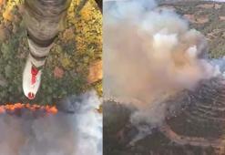 Balıkesir'de orman yangını