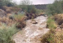 ABD'nin Arizona eyaletinde sel: 4 ölü