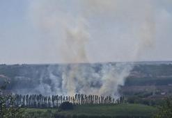 Hevsel Bahçeleri'nde çıkan anız yangını söndürüldü