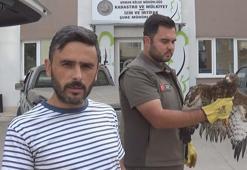 Yaralı bulduğu şahini ekiplere teslim etti