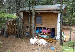 Uludağ’da ayılar, tatilcilerin yiyecek bıraktığı 18 baraka ve eşyalara zarar verdi