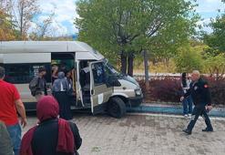 Dolmuş, kampüste ağaca çarptı; 13 öğrenci yaralı