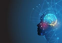 TÜİK: Yapay zeka teknolojileri kullanan girişim oranı arttı