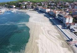 Mucilage explanation from experts