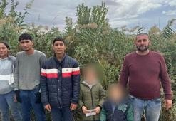 Edirne'de 6 kaçak göçmen yakalandı
