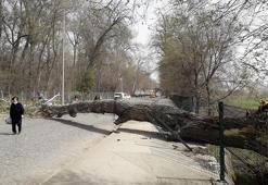 Meteorolojiden, Marmara ve Batı Karadeniz için ‘fırtına’ uyarısı