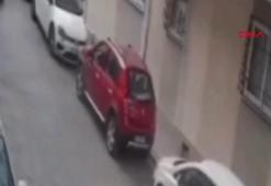 Sokak köpeğine kemerle vuran şüpheli gözaltında