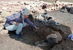 12 bin yıllık Çayönü Tepesi'nde 8 mezar gün yüzüne çıkarıldı