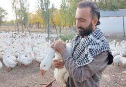 Islık sesiyle yüzlerce kanatlı hayvanı etrafına topluyor