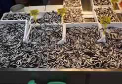 Trabzon’da hamsi bereketi
