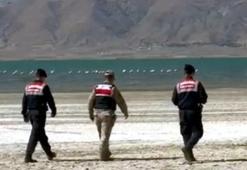 Van'da jandarma flamingo nöbetinde