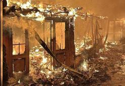 Yangında balık restoranı kül oldu