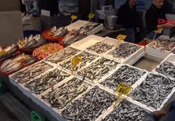 Trabzon’da hamsi bereketi