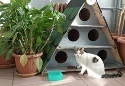 Enerjisa Üretim’den evcil dostlar için güvence ve destek