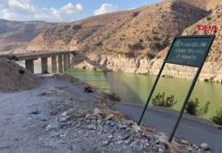 Botan Çayı’nda toplu balık ölümleri