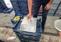 Avcılar'da zabıtadan pazar denetimi