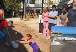 4 yıl önce gömülen balinanın iskeleti bilimsel kazıyla gün yüzüne çıkartılıyor
