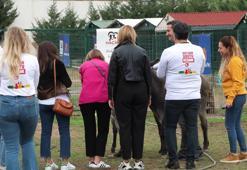 ‘Hayvan Dostu Eczane’ projesi ile sokak hayvanları için 1 ton mama bağışı