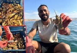 Şehrin stres ve kalabalığından sıkılıp köyüne döndü, tatlı su ıstakozu avına başladı