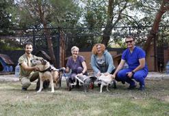 Özel hayvan bakım evinden ‘4 Ekim Hayvanları Koruma Günü’ kapsamında bağış çağrısı