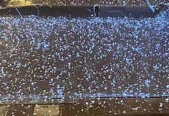 Çanakkale’de dolu etkili oldu