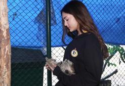 Demirören Medya ve Teknoloji MTAL öğrencilerinden sokak hayvanlarına mama desteği