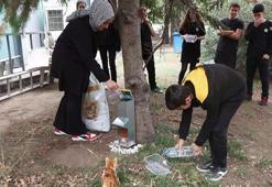 Demirören Medya ve Teknoloji MTAL öğrencilerinden sokak hayvanlarına mama desteği