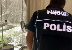 Yatak odasına kurduğu serada kenevir yetiştiren şüpheli: Evi tanımadığım biri kullanıyor