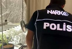 Yatak odasına kurduğu serada kenevir yetiştiren şüpheli: Evi tanımadığım biri kullanıyor