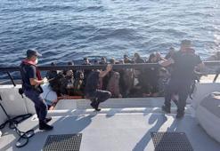 Bodrum'da 35 kaçak göçmen yakalandı