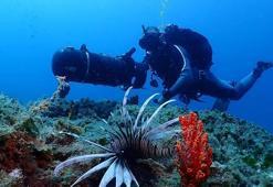 Kuşadası'nın su altı dünyası, dalış tutkunlarının gözdesi oldu