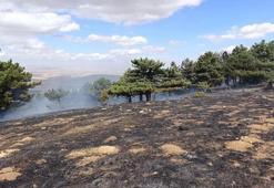 Konya'da orman yangını kontrol altında
