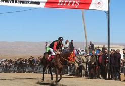 Karlıova’da geleneksel at yarışlarına yoğun ilgi