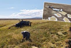 İstanbul’dan memleketlerine dönüp Karacadağ eteklerinde pirinç üretimine başladılar