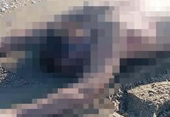 Karasu'da kumsalda çıplak erkek cesedi bulundu