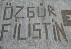 Traktör ile tarlalarına 'Özgür Filistin' yazdılar