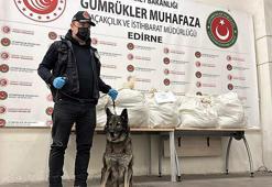 Kapıkule’de TIR'ın dorsesinde 113 kilo 664 gram esrar ele geçirildi