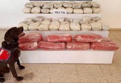 Van'da arazide 61 kilo skunk ele geçirildi; 1 gözaltı