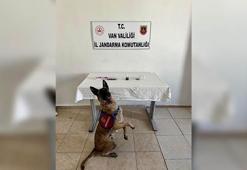 Yol kontrolünde üzerinde 380 sentetik hap ele geçirilen şüpheliye gözaltı