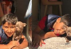 Otomobilin çarptığı Sıraç, 12 gün sonra yaşamını yitirdi