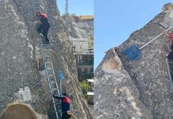 Peribacasında mahsur kalan kediyi itfaiye kurtardı